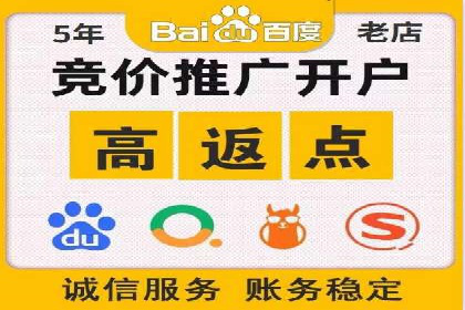 百度竞价推广成功案例解析